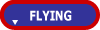Flying